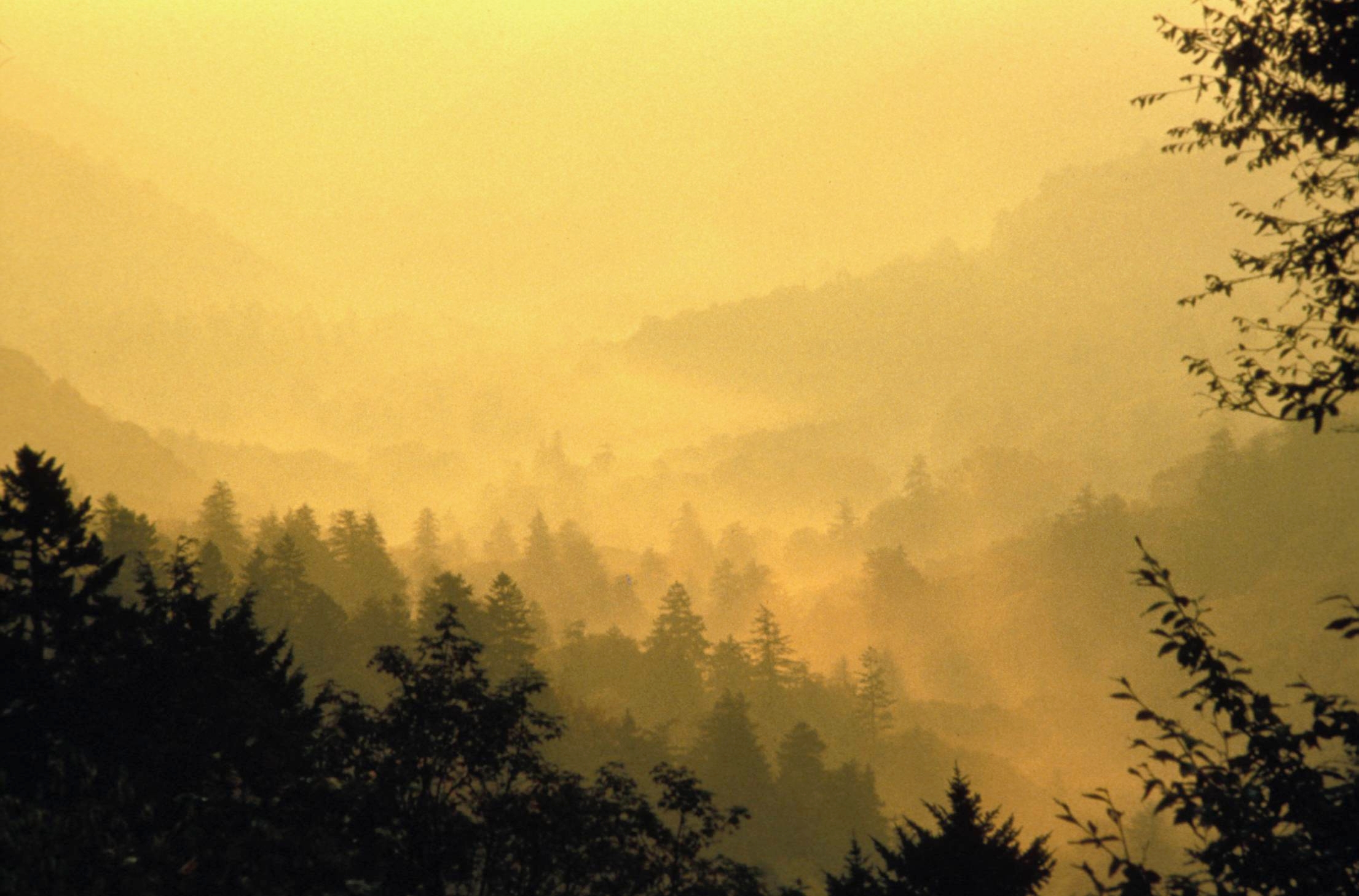 Mountain landscape with golden sunrise over forested hills